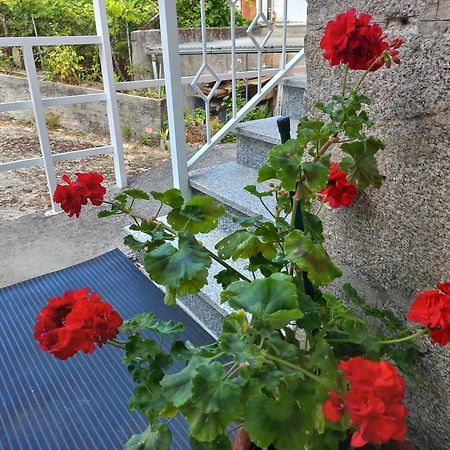 Piso Villa Aurora Carballino Εξωτερικό φωτογραφία
